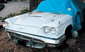 A classic blue Ford Thunderbird partially covered by a blue tarp in a wooded suburban driveway.