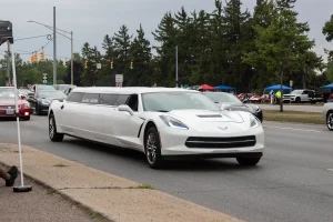 A collection of unique and unusual custom vehicles driving down Woodward Avenue during the Dream Cruise event.