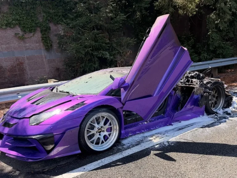 Man's $500K Lambo Goes Up In Flames When Dealer Takes It For A